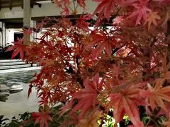 -太湖饭店玉兰厅(自助餐厅)