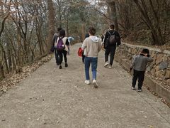 -紫金山山顶公园