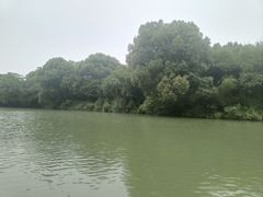 -西溪国家湿地公园