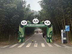 -都江堰中华大熊猫苑