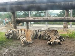 -西霞口神雕山野生动物世界