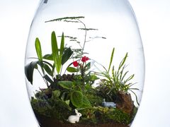-荷兰布尔玛国际花艺学院