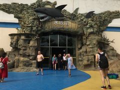 -秦皇岛乐岛海洋王国