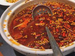 -羊门客在·烤盐池滩羊·川菜