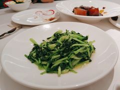 -圆苑(静安寺店)