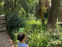 -杭州少年儿童公园