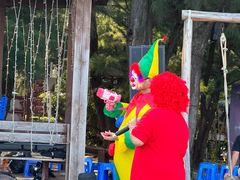 -北海金海湾红树林生态旅游区