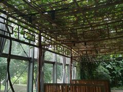 -金稼园·金平湖农家菜