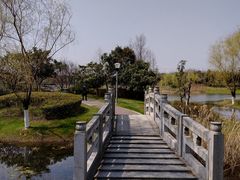 -尚贤河湿地