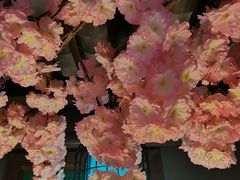 -龙泉小镇(科圣路店)