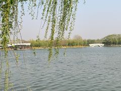 -大兴滨河森林公园