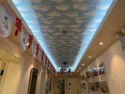 -紫洁俪方（北京）医疗美容