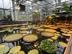 -国家植物园南园