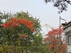 -中国人民抗日战争纪念雕塑园