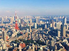 -六本木新城展望台(东京城市景观)