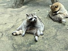 -杭州野生动物世界
