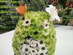 -石家庄市植物园