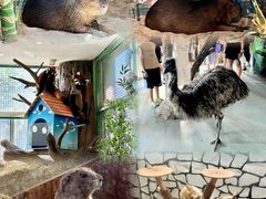 -海合安武汉极地海洋公园