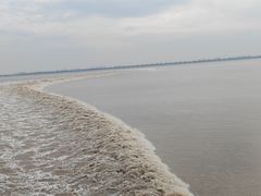 -观潮胜地公园