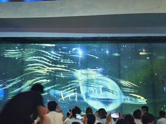 -海合安成都极地海洋公园