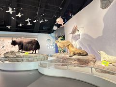 -中国湿地博物馆
