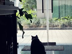 -UN CAFFE(五角场店)