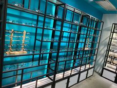-Trend1881视光·蔡司视觉(领展广场店)