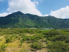 -大澳渔村及棚屋