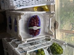 -马陆小张葡萄园农家乐