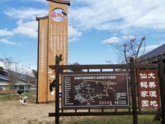 -盐城丹顶鹤湿地生态旅游区