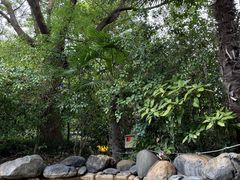 -张家港金凤凰度假村温泉