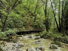-牛背梁国家森林公园