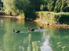 -长白岛森林公园