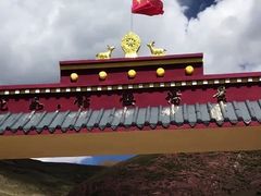 -比如骷髅墙景区