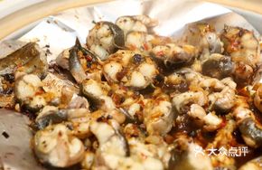 Stone Eel