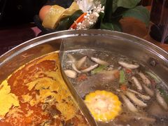 -呷哺呷哺 黄金牧场 (欢乐谷店)