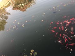 -迎泽公园