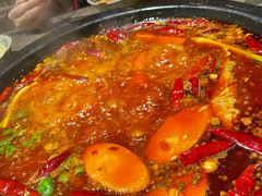 红锅-重庆渝达老火锅(春熙路店)