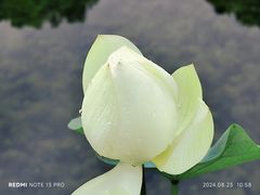 -云溪植物园