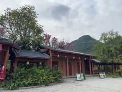 -靖西鹅泉风景区