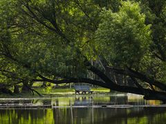 -上海共青森林公园