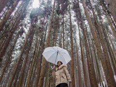 -山王坪喀斯特国家生态公园