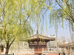 -西安青龙寺遗址景区