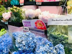 -盒马鲜生(红莲店)