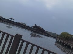-苏州太湖国家湿地公园