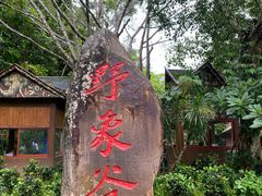 -野象谷景区
