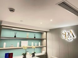 点击看大图 -PE SALON