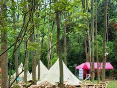 -合肥滨湖国家森林公园