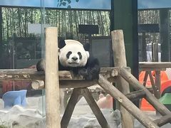 -栾川竹海野生动物园