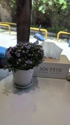 -香秀空间科技抗衰·美容中心